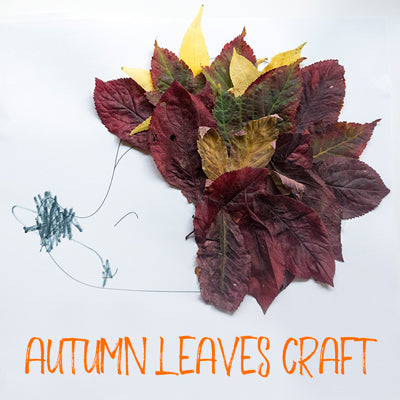 Autumn leaves hedgehog craft