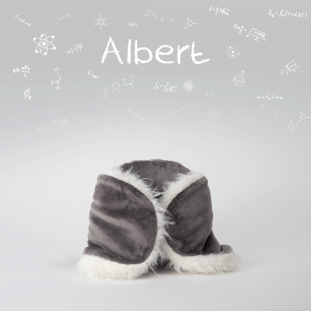 Albert - The Koala Plush Toy