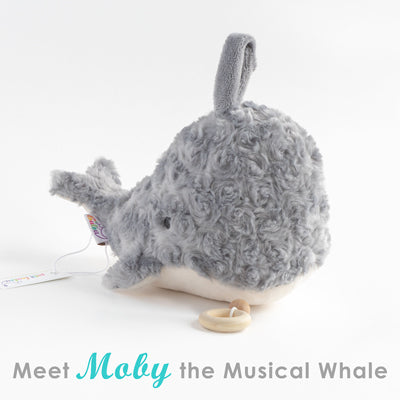 Meet Moby the Musical Plush Whale