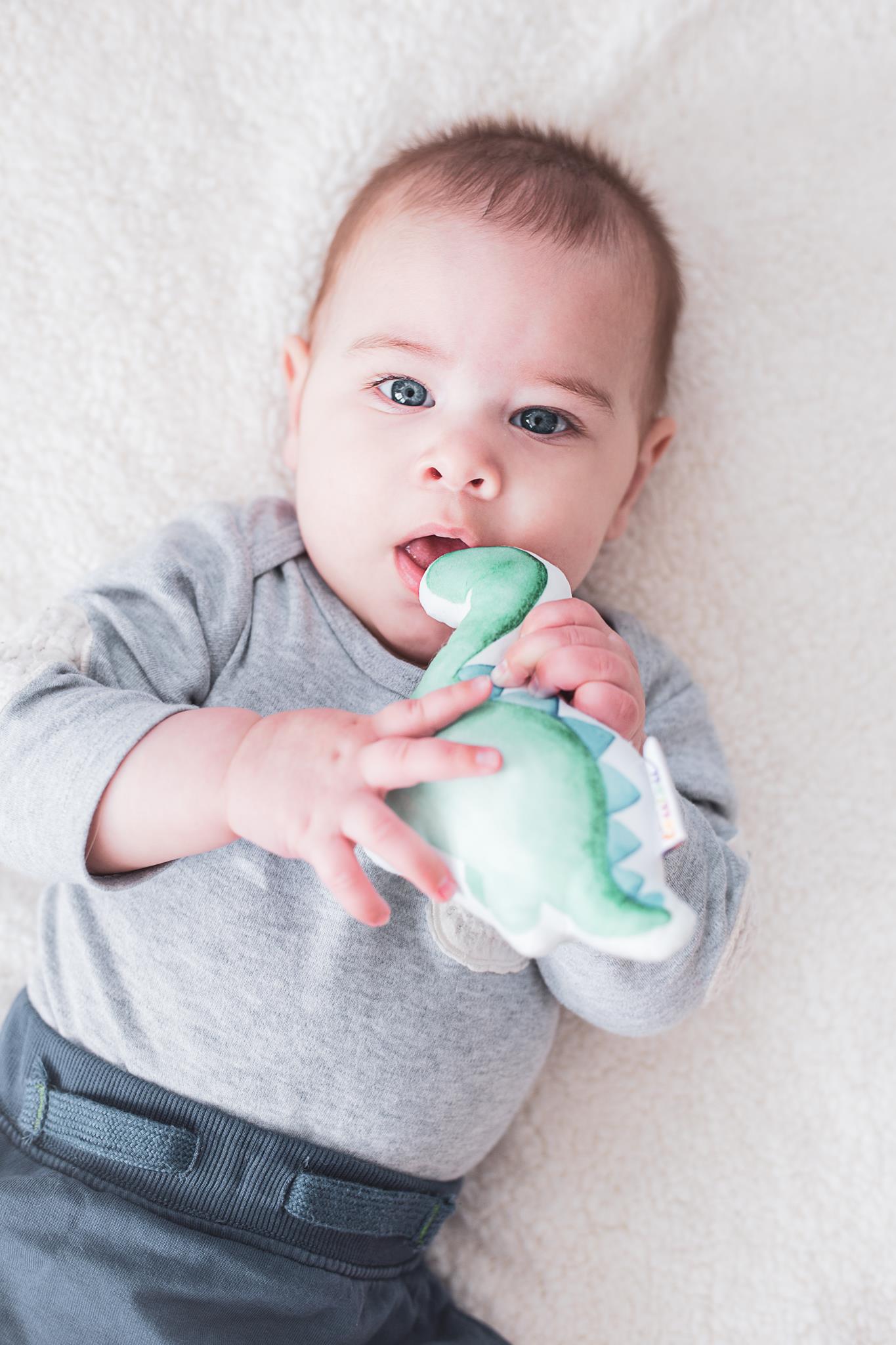 Leo - The Dinosaur Rattle