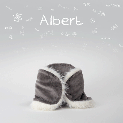Albert - The Koala Plush Toy