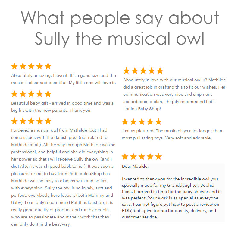Baby mobile - Sully the musical owl