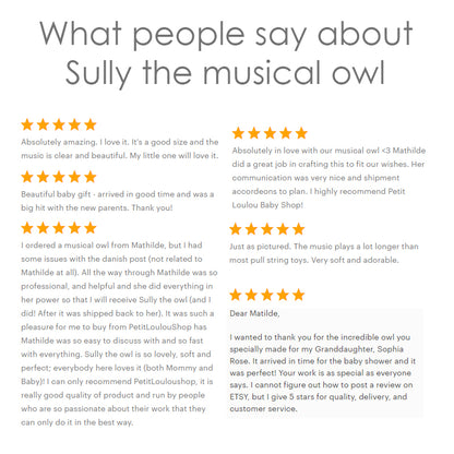 Baby mobile - Sully the musical owl